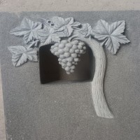 Vine on Grave stone